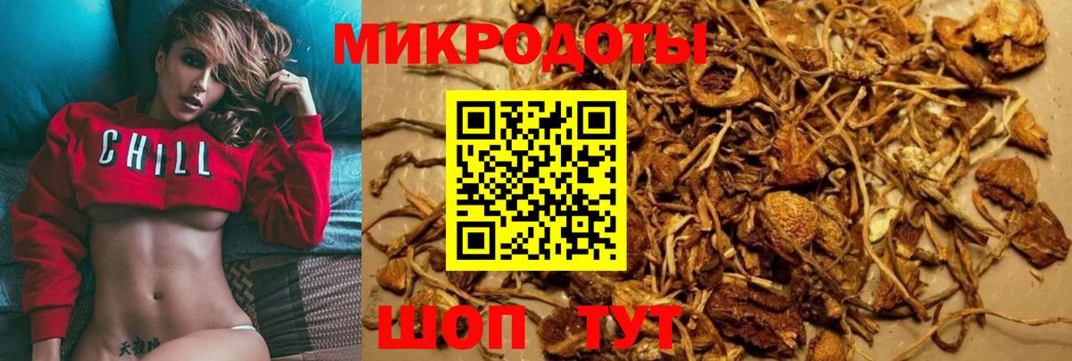 Псилоцибиновые грибы мицелий Карасук